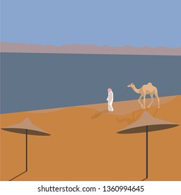 Camel on the beach in Egypt