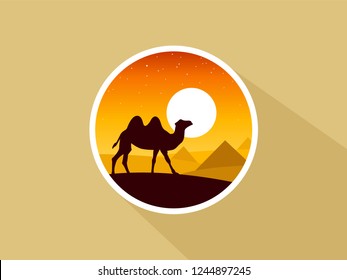Camel on the desert over the sunset. Flat vector illustration.