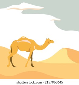 camel on desert vector illustration