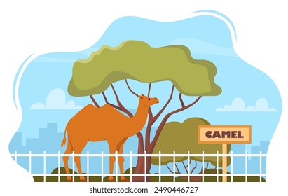 Camel on territory of wildlife zoo park surrounded by fence. Vector illustration