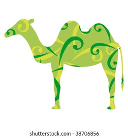 camel on white background