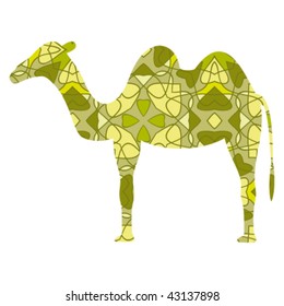 camel on white background