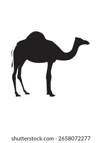 camelo sobre fundo branco esboço