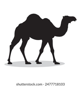 Camel outline and symbols. Dark level variety basic exquisite white foundation Camel animal vector and silhouette icon.