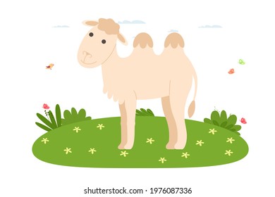 Camel. Pet, domestic and farm animal. Camel is walking on the lawn. Vector illustration in cartoon flat style.