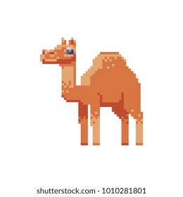 Camel. Pixel art character. Sticker design. Isolated vector illustration.