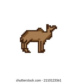 Kamel. Pixel-Art-Zeichen. Aufkleber-Design. Einzige Vektorgrafik.EPS10