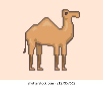 Camel in pixel art style