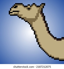 Camel with pixel art. Vector illustration.