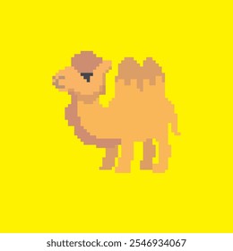 arte de pixel camel, ilustração vetorial em fundo isolado.