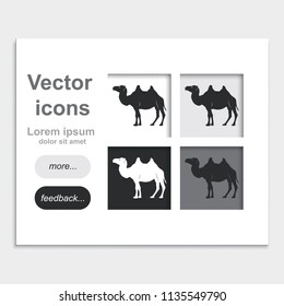 Camel placed on web page template flat vector icon. Animal illustration.