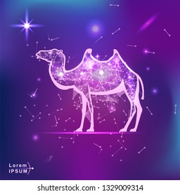 camel. Polygonal wireframe camel silhouette on gradient background. Space, futuristic, zodiac concept. Shine neon style vector illustration