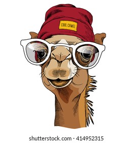 Camel portrait with a glasses and in a hipster hat. Vector illustration.