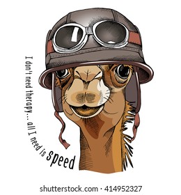 Camel portrait in a racer retro helmet. Vector illustration.