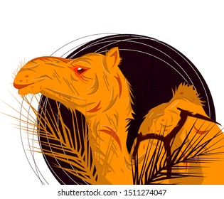 Camel portrait Vector illustration. Wild life illustrated concept