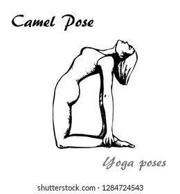 Camel pose of yoga pose illustration