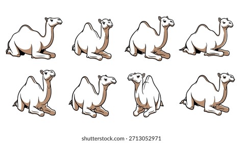 Coleção de poses de camelo com fundo transparente