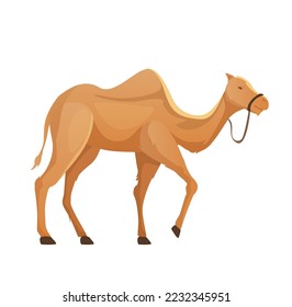 camel in profile on white background vector illustration