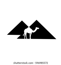 camel and pyramid