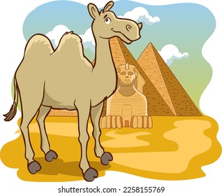 camel and pyramids cartoon vector 