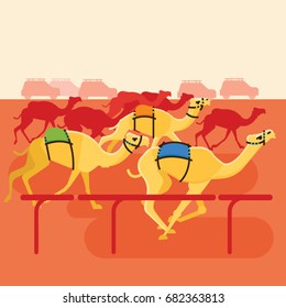 Camel racing vector illustration. Tournament race thoroughbred camels. Competitions of camels in the UAE or Egypt