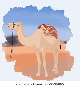 A camel with red carpet on his hump, standing on desert with blue sky, illustration with frame