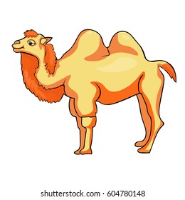 Camel with redhead smiling a cartoon Vector illustration
