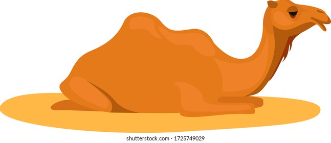 Camelo relaxante, ilustração, vetor sobre fundo branco