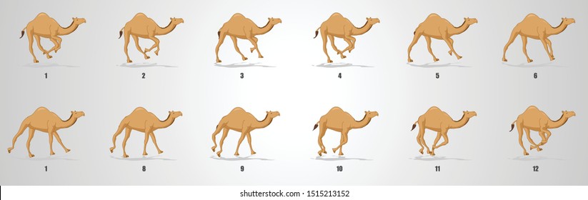 Camel Run Cycle Animation Sequence, Animation Frames