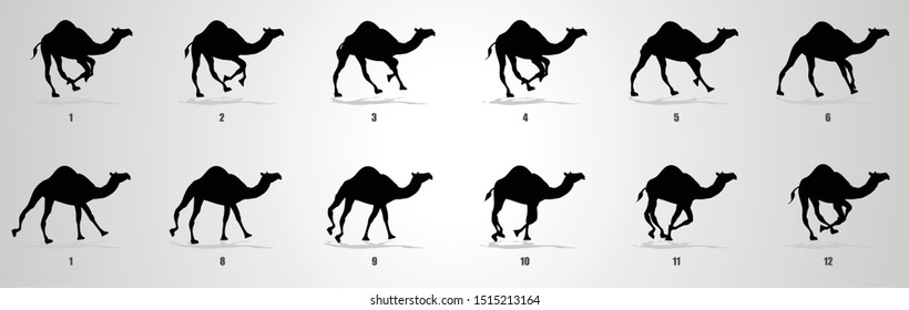 Camel Run cycle Animation sequence, animation frames