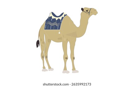Camel with Saddle Illustration on a white background