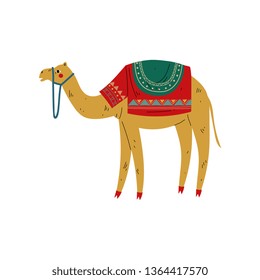 Camel with Saddle on the Back, Desert Animal, Symbol of Traditional Egyptian Culture Vector Illustration