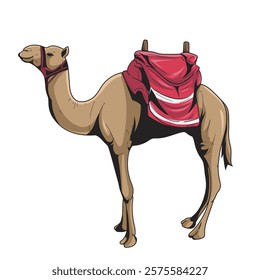 Camel with Saddle. Vector Illustration on White Background