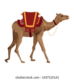 camel with saddlery icon cartoon vector illustration graphic design