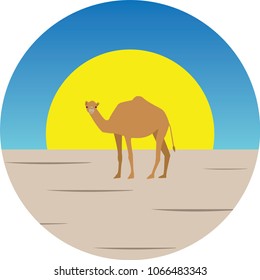 Camel in Sahara Desert vector illustration