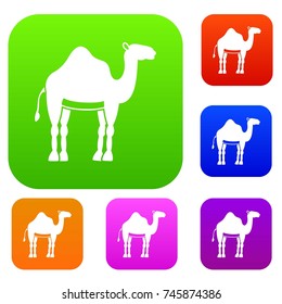 Camel set icon color in flat style isolated on white. Collection sings vector illustration