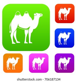 Camel set icon in different colors isolated vector illustration. Premium collection
