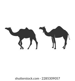 Camel set illustration vector design