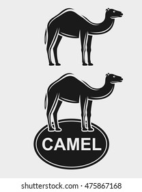 Camel set. Vector