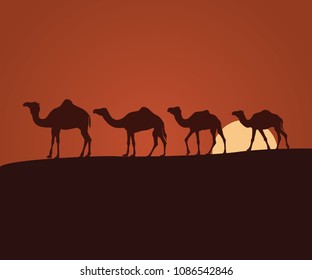 camel shepherd in the sunset desert landscape vector background illustration theme