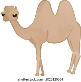 Camel Side View Full Body