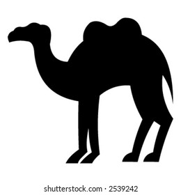Camel silhouette