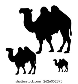 camel silhouette , silhouette of camel 