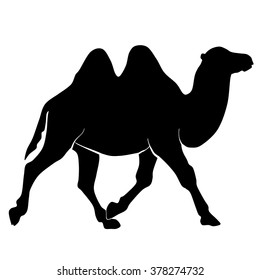 camel silhouette 