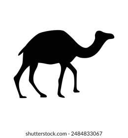 Camel Silhouette Against the Desert Sunset Sky