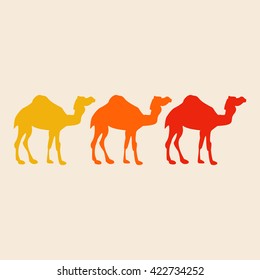 Camel silhouette background colorful