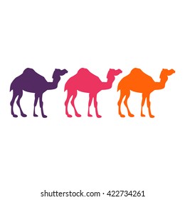 Camel silhouette background colorful