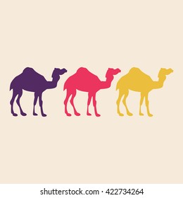Camel silhouette background colorful