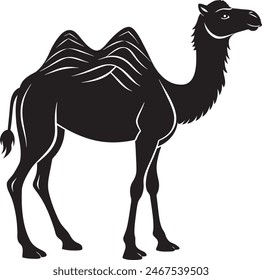 Camel silhouette Black And White Background