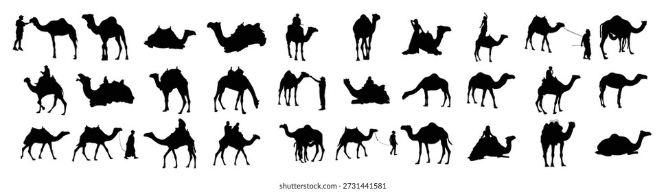 camel silhouette coleção ilustração vetorial